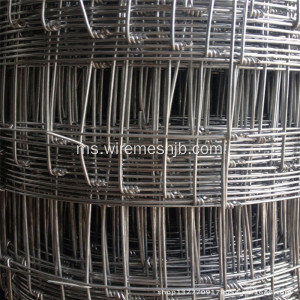 1.6M * 50M Galvanized Steel Wire Kraal Network